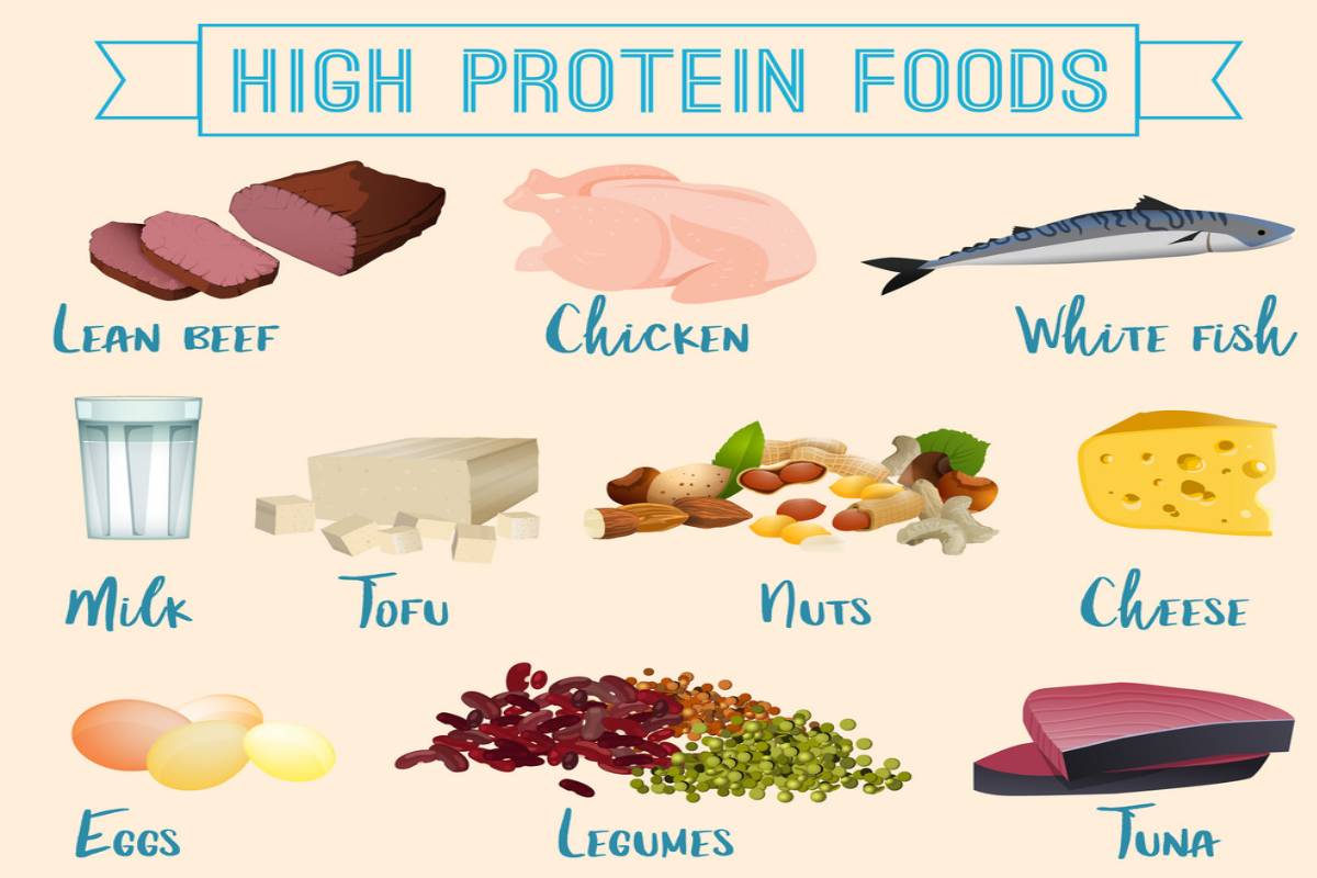 Examples Of Protein Foods