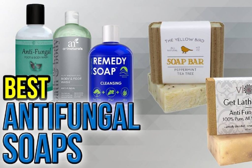 Soap for fungal infection Description, Risk Factors, and Best Soaps