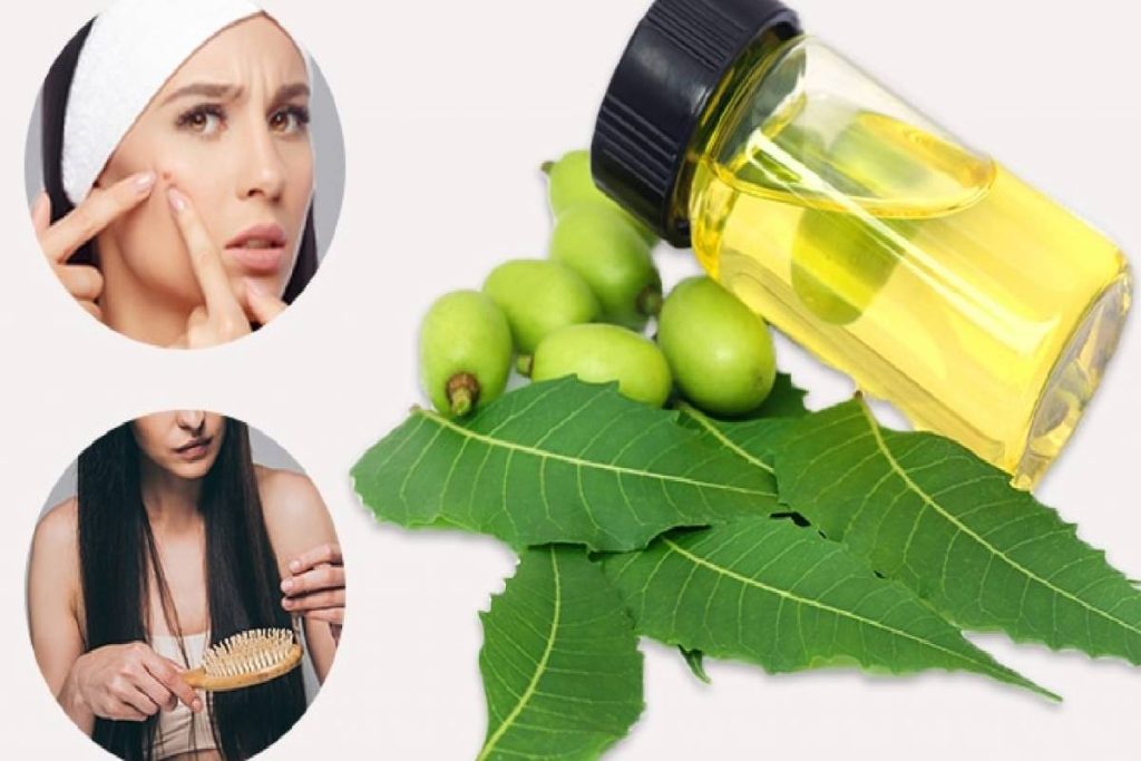 What are Neem Oils? Definition, 6 Types of Benefits with Neem Oils