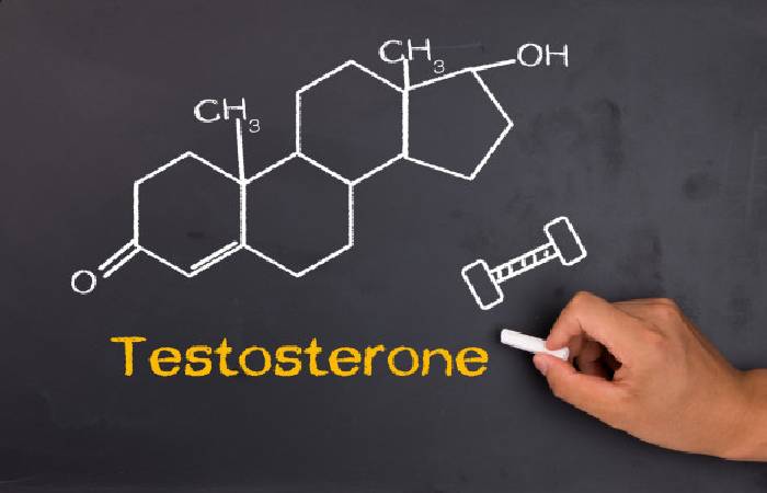testosterone write for us