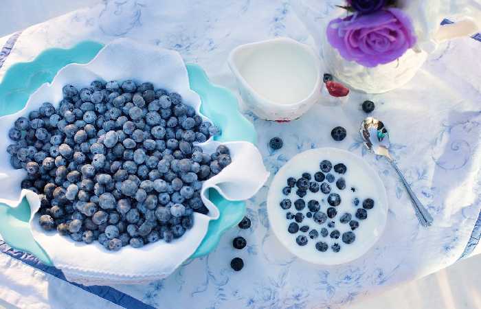 wellhealthorganic.com : 10-best-ways-to-use-blueberries