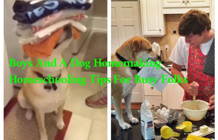 Boys And A Dog Homemaking Homeschooling Tips For Busy Folks
