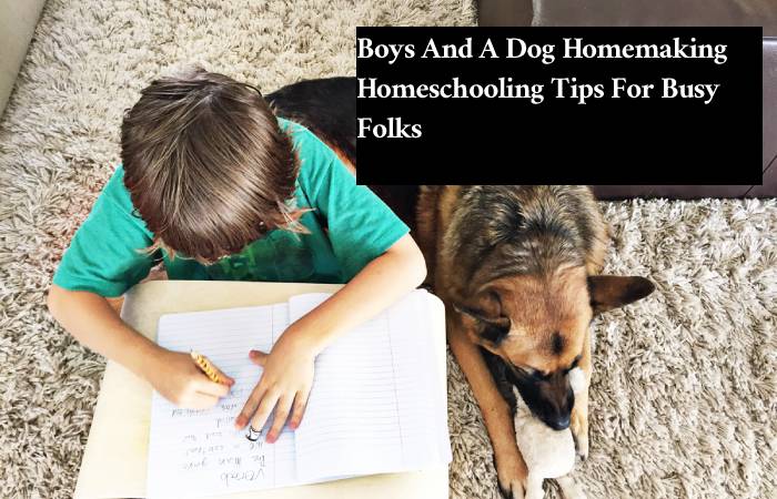 Boys And A Dog Homemaking Homeschooling Tips For Busy Folks